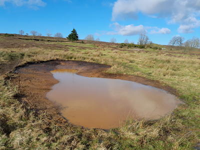 A new pond, created as part of the WetScapes Project
