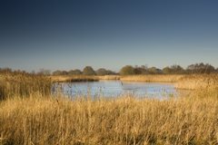 Hickling Broad and Marshes