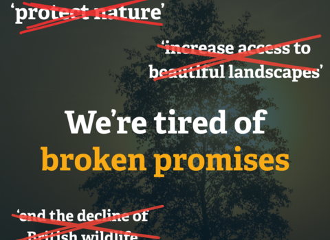 Text overlaying a tree image that says, 'we're tired of broken promises'. There are 4 crossed out promises the government have made to protect wildlife.