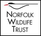 visit norfolk wild swimming