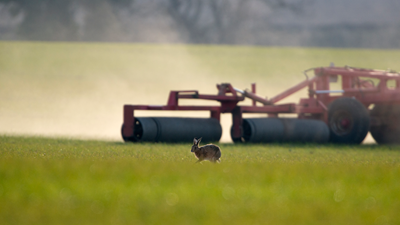 Brown hare with farm machinery, credit David Tipling