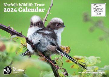 Norfolk Wildlife Trust 2024 calendar front cover, featuring two fluffy birds