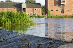 NWT helps Norfolk's coastal communities care for their environment