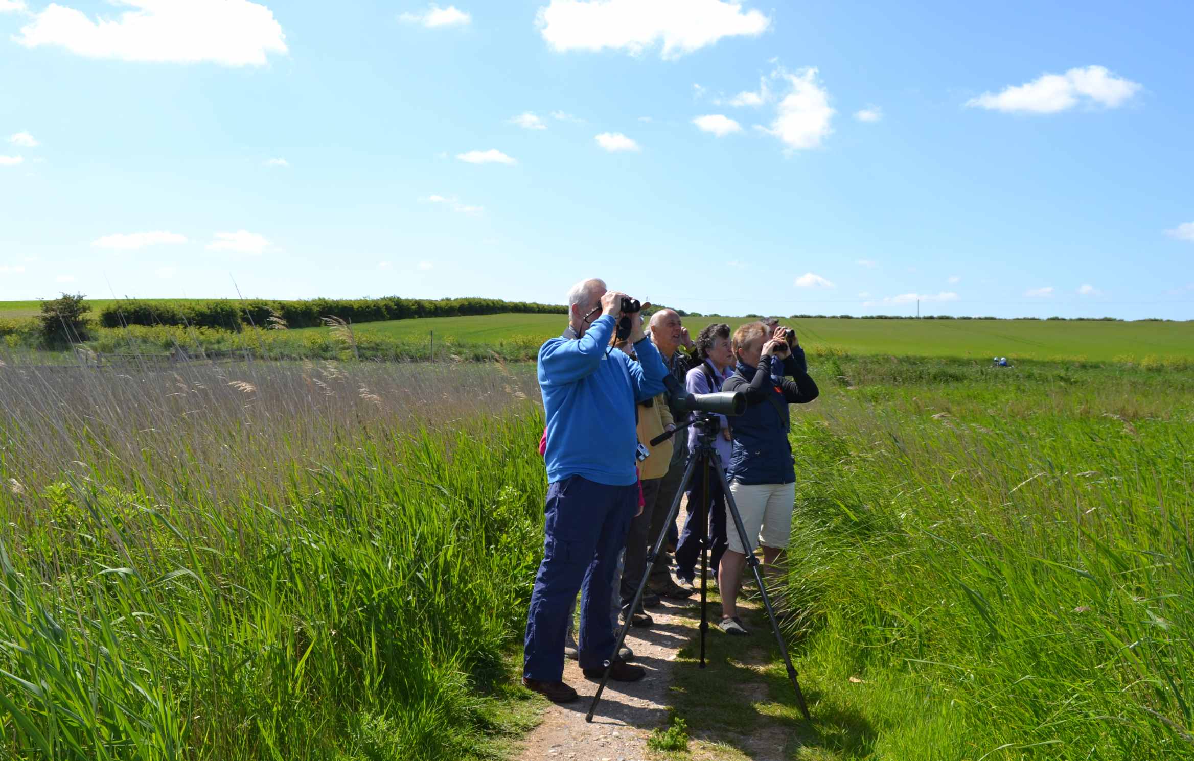 Circuit of Cley, NWT Cley Marshes NR25 7SA | A guided circuit walk around the reserve and along the shingle ridge | Walking, guided, wildlife