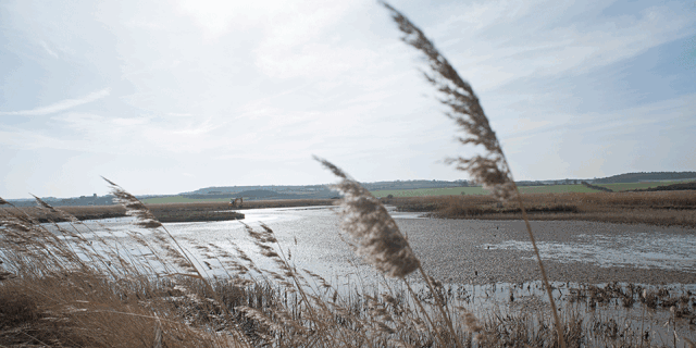 Wetland-restoration-credit-David-Tipling