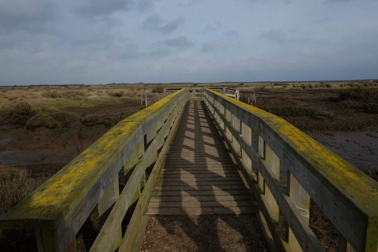 Sounding Coastal Change , Norfolk Wildlife Trust Cley Marshes | This exhibition showcases film and sound work exploring change on the North Norfolk Coast  - Exhibition. | Exhibition, film and sound, environmental change