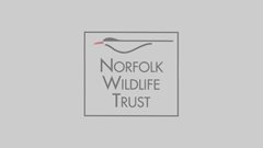2017-06-27 Norfolk's magical meadows