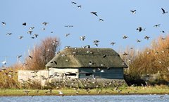 Bird watching hide at NWT Cley Marshes, photo by Barry Madden