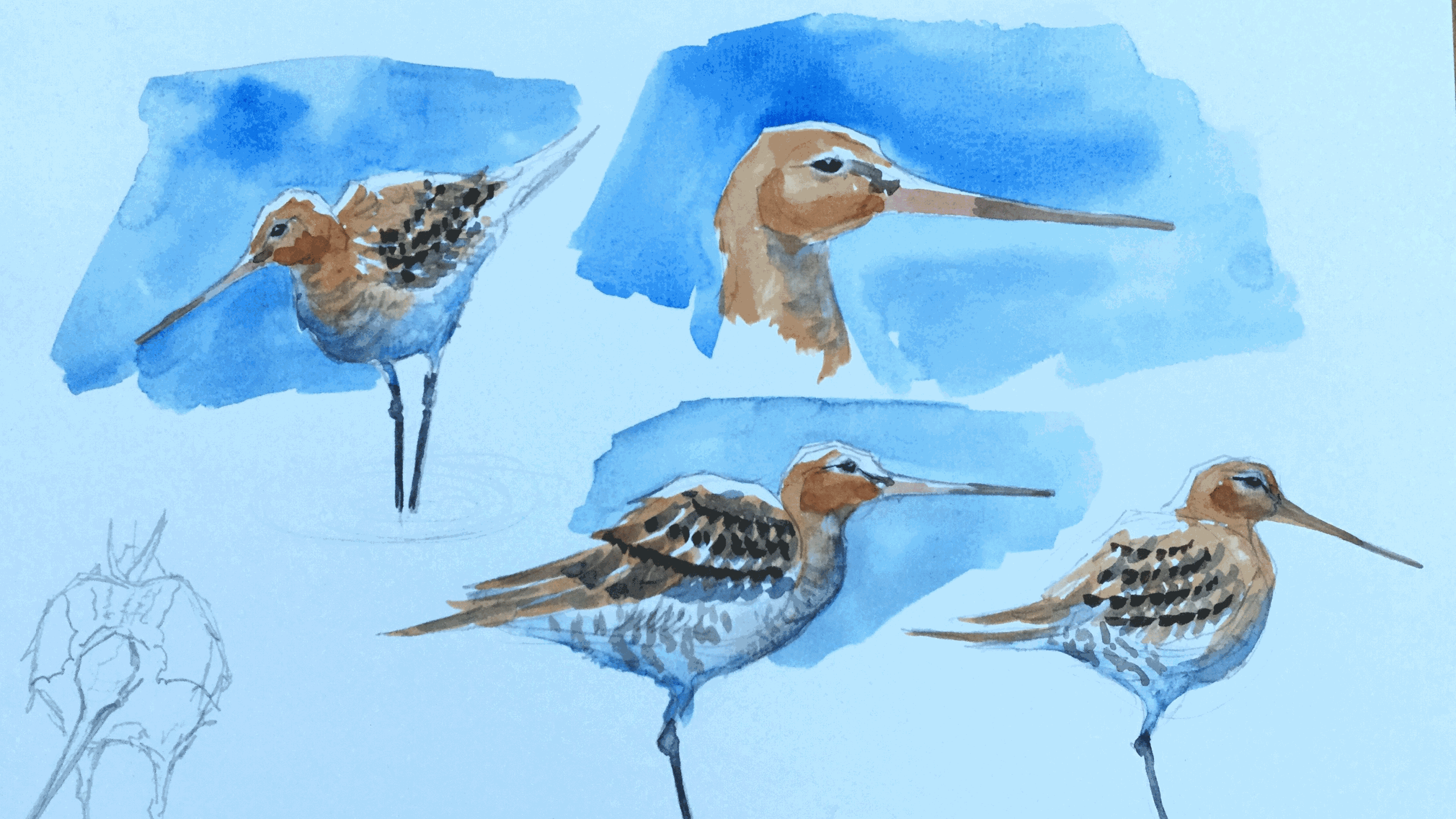 Capturing Birds Quickly, NWT Cley Marshes NR25 7SA | Martin Gibbons loves capturing light, landscape and wildlife in natural spaces. As a keen birder he has an eye for capturing fleeting moments quickly in the field | Workshop, sketching, nature