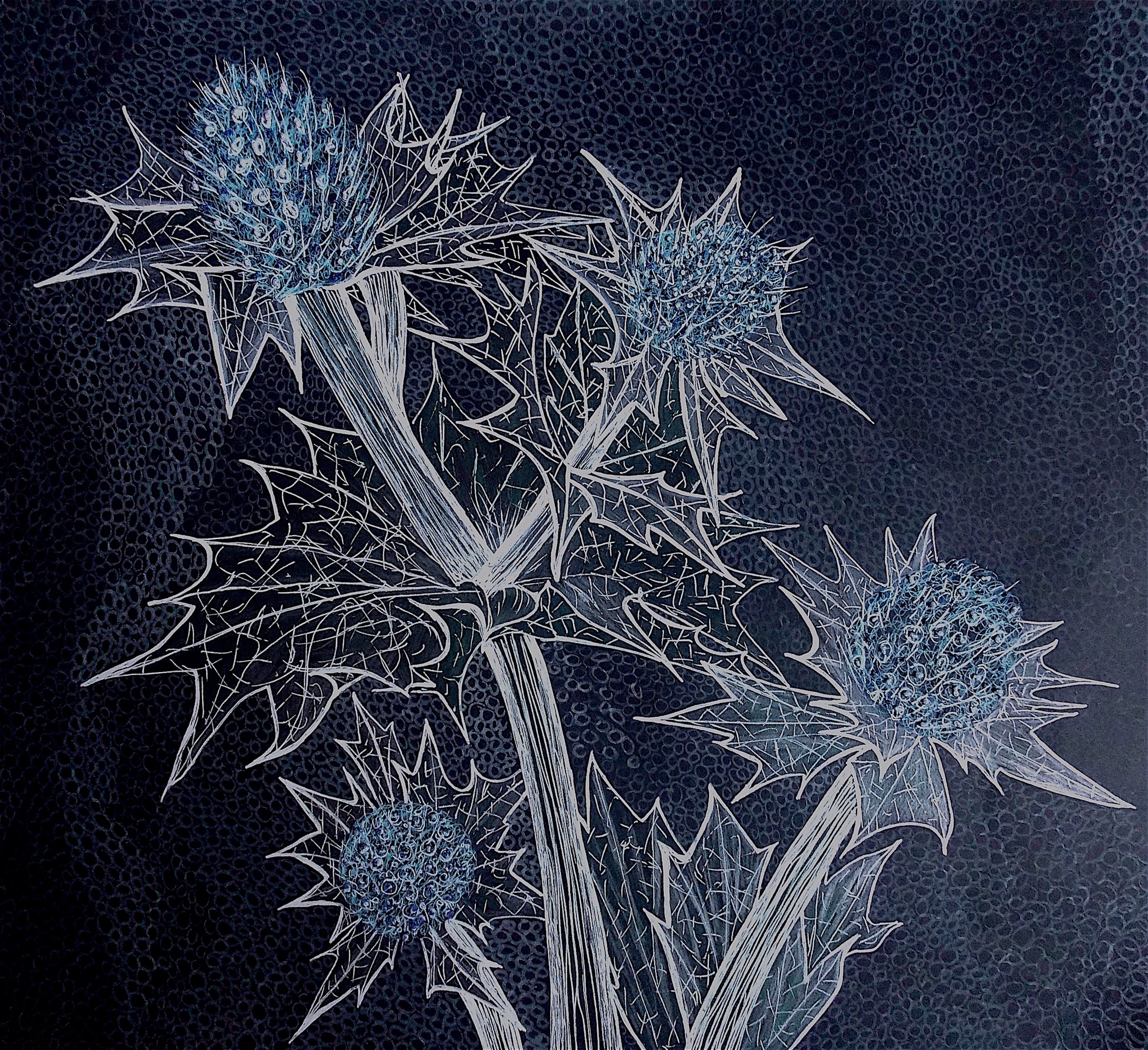 Alison DOyley Exhibition, Norfolk Wildlife Trust Cley Marshes | Naturally Diverse is an exhibition by local artist Alison D'Oyley | Exhibition, artist,wildlife, landscapes, environmental change
