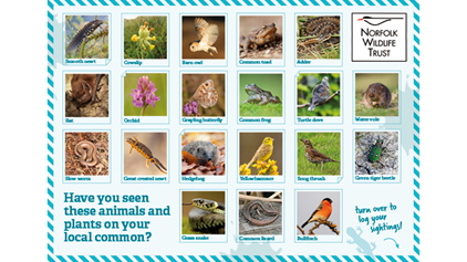 Wildlife in Common 20 Species survey