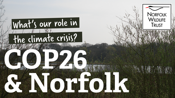 COP26 & Norfolk: What's our role in the climate crisis?