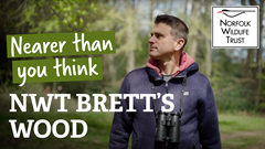Brett's Wood: nature is nearer than you think