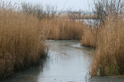 Government's weakening of water pollution rules spells disaster for Norfolk's wildlife and people
