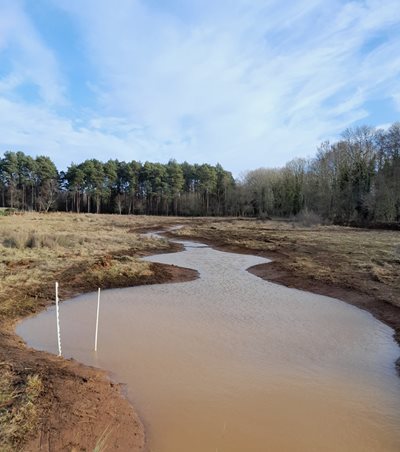 A new pond, created as part of the WetScapes Project