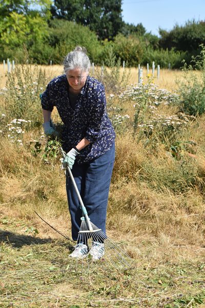 A volunteer spreading the green hay at Burston & Shimpling 