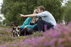 Tips for birdwatching with your dog