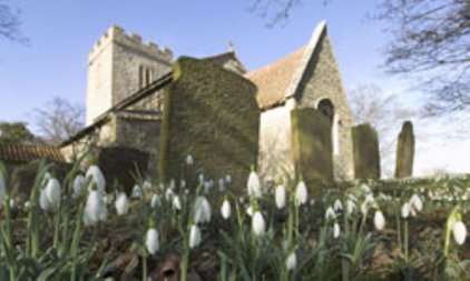 Snowdrops in a churchyard, photo by David North