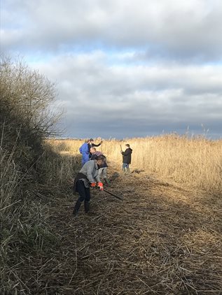 A Conservation Work Party at Upton Fen