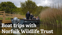 Boat Trips with Norfolk Wildlife Trust