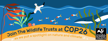 The Wildlife Trusts respond to the closing of COP26