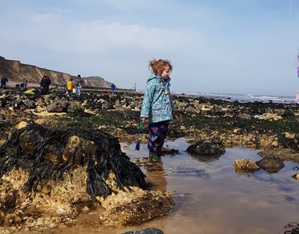Learn about responsible rockpooling