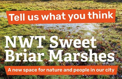 Take part in our Sweet Briar Marshes survey (Now closed)