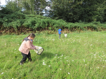 A child walks through a grassy field with a net as they hunt for bugs