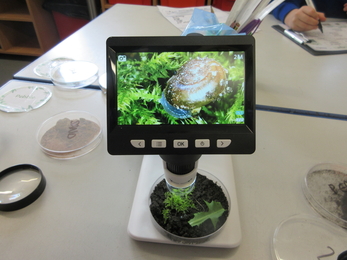 A microscope shows a close up image of a snail, with the pot of soil sitting under the microscope