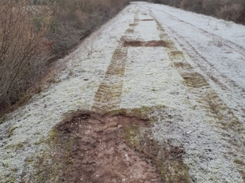 Patches of mud along a grassy path, with trees and shrubs on either side. 