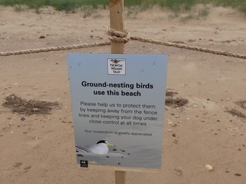 Beaching nesting bird signage at Holme