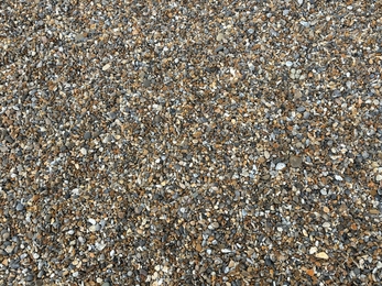 A ringed plover nest hidden among the shingle at Cley