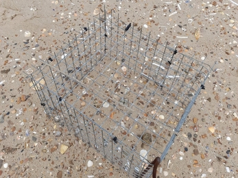 A small metal square cage protecting a ringed plover nest at Holme. It is big enough for just the parents to fit through to reach the nest.
