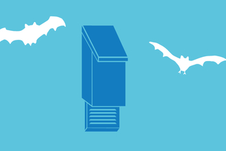 Simple actions bat box illustration
