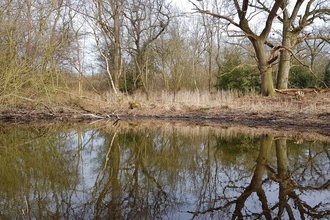 A pingo at Watering Farm, featuring a clearing of water with bare-branched trees on the ground in the background. The trees are reflected in the pool of water.