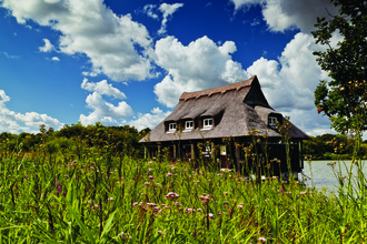 Ranworth Broad floating visitor centre surrounded by reeds with little pink flowers. 