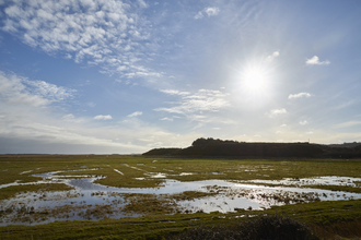 Cley Marshes