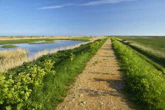 A brown-orange path stretches out into the distance, surrounded by lush green grass on each side. Beyond this, there is a field to the right and a marsh to the left, under a bright blue sky
