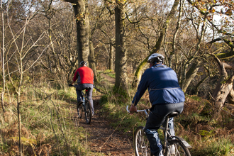 Two cyclists in the woods in autumn