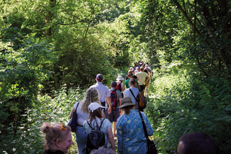 A group of Norfolk Wildlife Trust staff, seen from behind, walking on a reserve