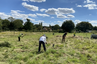 Members of NWT distributing green hay on a field on a sunny day