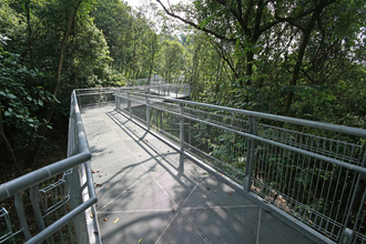 A metal aerial walkway in the canopy of a woodland
