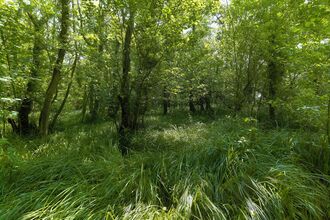 Nature Reserves | Norfolk Wildlife Trust