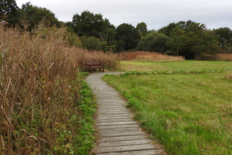 A wooden boardwalk alongside a wooden bench with reeds to the left and short grass on the right. 