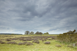Moody cloudy skies, and a flat open reserve with grass and shrubs