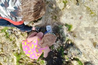 A young girl in a pink and yellow dress, peering into a rockpool at West Runton