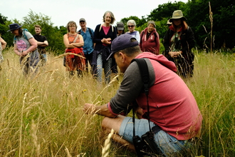 Nick Acheson crouched down in tall grasses talking about wildflowers on his guided walk at Sweet Briar Marshes as a small group of people look on. 