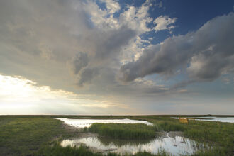 A long stretch of marshy ground under a cloudy sky