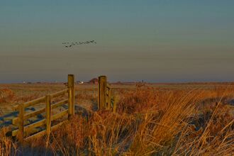 View across Cley marshes