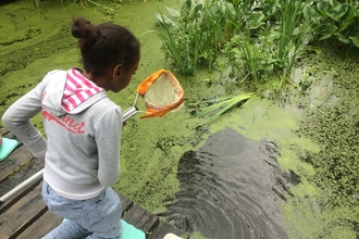 A young girl holding a net above a water dyke